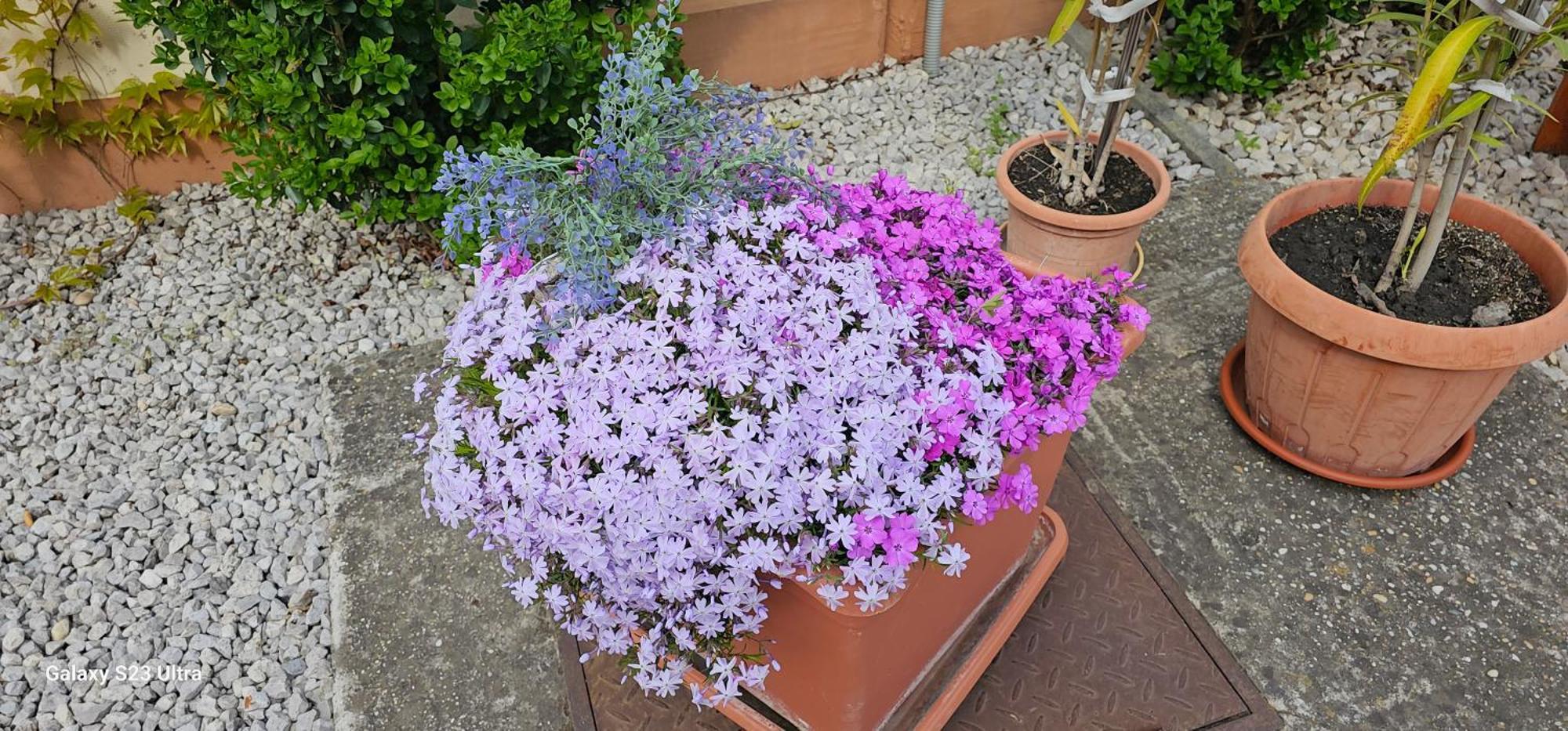 Apartmanovy Dom Flora Velky Meder Luaran gambar